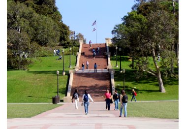 University Of California Los Angeles