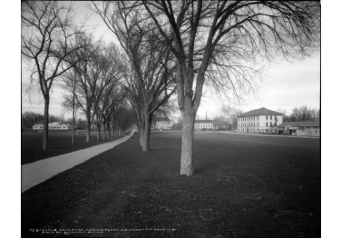 Colorado State University- Fort Collins