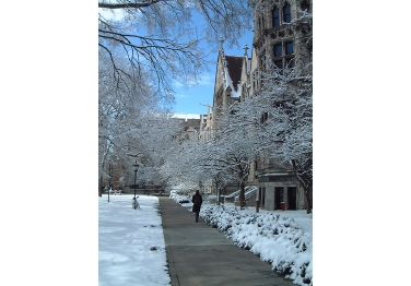 University Of Chicago