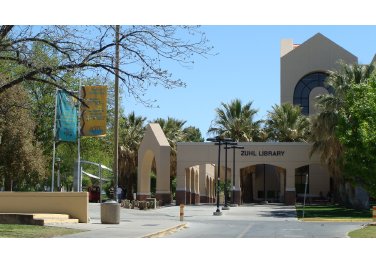 New Mexico State University- Main Campus