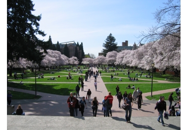 University Of Washington- Seattle Campus