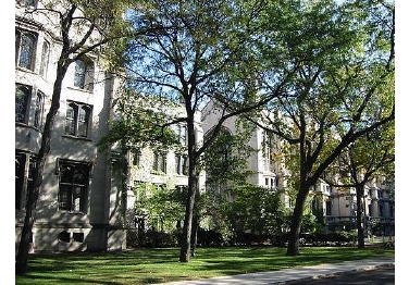 University Of Chicago