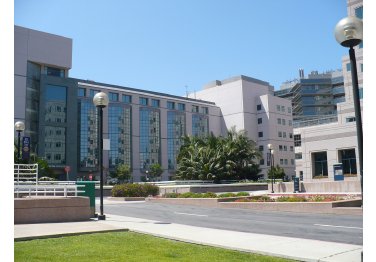 University Of California Los Angeles