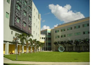 Florida International University