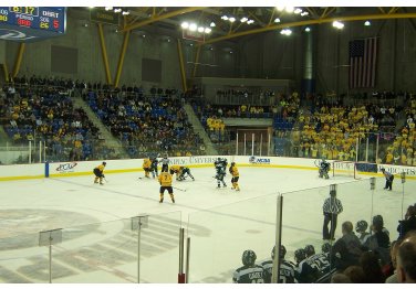 Quinnipiac University-Hamden