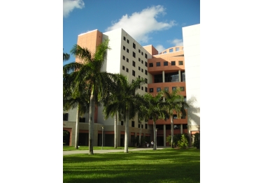 Florida International University