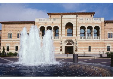 Rice University