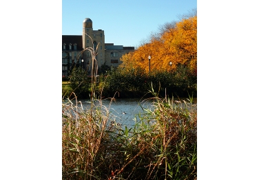 Northern Illinois University