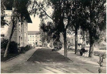 Occidental College