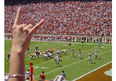 The University Of Texas At Austin