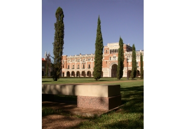 Rice University